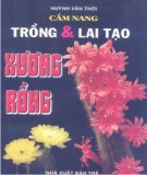 Sổ tay trồng và lai tạo xương rồng: Phần 2