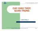 Bài giảng Thí nghiệm mạng máy tính 1: Chương 5 - ThS. Nguyễn Cao Đạt