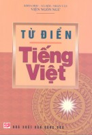 Hệ thống từ điển tiếng Việt: Phần 1