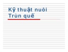 Bài giảng Kỹ thuật nuôi trùn quế: Phần 1 - Giới thiệu về trùn quế