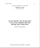 Hệ thống Luật quốc tế về quyền của các nhóm người dễ bị tổn thương: Phần 2