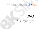 Bài giảng CNG trạm Hiệp Phước 50 triệu m3/năm: Sử dụng Pipe Segment