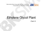 Bài giảng Chem 6: Ethylene Glycol Plant