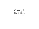 Bài giảng Mạng không dây và di động: Chương 6 - ThS. Trần Bá Nhiệm