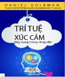 Ứng dụng Trí tuệ xúc cảm trong công việc: Phần 2