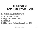 Bài giảng Lập trình mạng - Chương 5: Lập trình Web - CGI