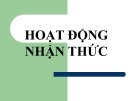 Bài giảng Tâm lý học đại cương: Chương 4 - Hoạt động nhận thức