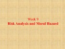 Lecture Managerial economics - Chapter 9: Risk analysis and Moral Hazard