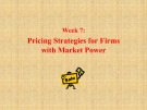 Lecture Managerial economics - Chapter 7: Pricing strategies for firms with market power