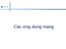 Bài giảng Lập trình mạng: Các ứng dụng mạng - ĐH Công nghệ Đồng Nai