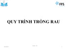 Bài giảng Quy trình trồng rau