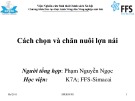 Bài giảng Cách chọn và chăn nuôi lợn nái