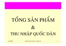 Bài giảng Hạch toán sản lượng quốc gia: Tổng sản phẩm và thu nhập quốc dân