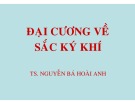 Bài giảng Đại cương về sắc ký khí - TS. Nguyễn Bá Hoài Anh