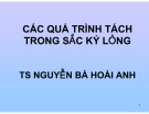 Bài giảng Các quá trình tách trong sắc ký lỏng - TS. Nguyễn Bá Hoài Anh
