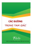 Các đường trong tam giác