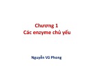 Bài giảng Công nghệ di truyền: Chương 1 - Nguyễn Vũ Phong