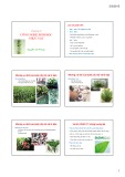 Bài giảng Công nghệ sinh học: Chương 4 - Nguyễn Vũ Phong