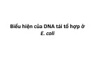 Bài giảng Biểu hiện của DNA tái tổ hợp ở E. coli - Nguyễn Vũ Phong