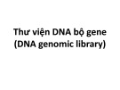 Bài giảng Thư viện DNA bộ gene  - Nguyễn Vũ Phong