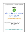 Đề tài: Sản xuất thạch dừa từ vi khuẩn Acetobacter xylinum