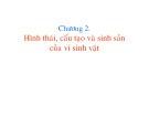 Bài giảng Vi sinh vật thực phẩm - Chương 2: Hình thái, cấu tạo và sinh sản của vi sinh vật