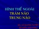 Bài giảng Hình thể ngoài trám não trung não - BS. Lê Quang Tuyền