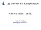 Bài giảng Lập trình trên môi trường Windows: Phần 1 - Windows control