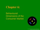 Lecture Basic Marketing: A global managerial approach - Chapter 6: Behavioural dimensions of the consumer market