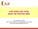 Bài giảng học phần Quản trị thương hiệu: Chương 0 - ThS. Nguyễn Tiến Dũng