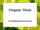 Lecture Principles of Marketing - Chapter 3: The marketing environment