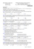 Đề thi tuyển sinh cao đẳng môn Vật lý (năm 2013)