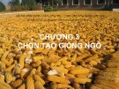 Bài giảng Chọn tạo giống cây trồng ngắn ngày: Chương 3 - Học viện Nông nghiệp Việt Nam