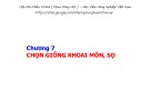 Bài giảng Chọn tạo giống cây trồng ngắn ngày: Chương 7 - Học viện Nông nghiệp Việt Nam