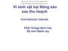 Bài giảng Vi sinh vật hại nông sản sau thu hoạch: Chương 1 - PGS.TS. Ngô Bích Hảo