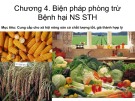 Bài giảng Vi sinh vật hại nông sản sau thu hoạch: Chương 4 - PGS.TS. Ngô Bích Hảo