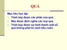 Bài giảng Thực vật thuốc: Quả
