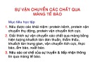 Bài giảng Sự vận chuyển các chất qua màng tế bào (46tr)
