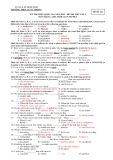 Đề thi thử kỳ thi THPT quốc gia lần thứ 2 năm 2015 có đáp án môn Tiếng Anh - Trường THPT Lý Tự Trọng (Mã đề 123)