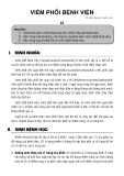 Bài giảng Viêm phổi bệnh viện - TS. BS. Nguyễn Hữu Lân