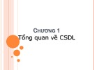 Bài giảng Cơ sở dữ liệu - Chương 1: Tổng quan về CSDL