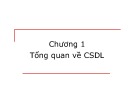 Bài giảng Cơ sở dữ liệu: Chương 1 - Nguyễn Minh Thư