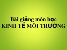 Bài giảng môn học Kinh tế môi trường - Chương mở đầu: Giới thiệu môn học Kinh tế môi trường