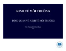 Bài giảng Kinh tế môi trường: Tổng quan về kinh tế môi trường - Nguyễn Thị Thanh Huyền