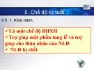 Bài giảng Bảo hiểm xã hội: Chế độ tử tuất