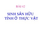 Bài giảng Bài 42: Sinh sản hữu tính ở thực vật