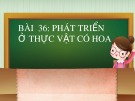 Bài giảng Bài 36: Phát triển ở thực vật có hoa