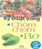 Kinh nghiệm trồng chôm chôm, bơ: Phần 2