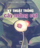 Kinh nghiệm trồng cây măng cụt: Phần 2