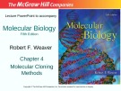 Lecture Molecular biology (Fifth Edition): Chapter 4 - Robert F. Weaver